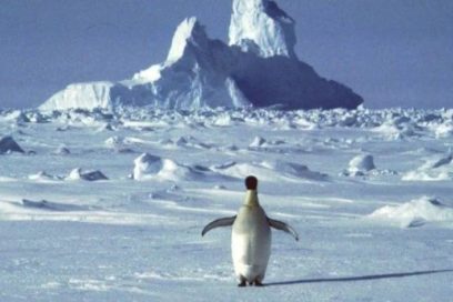 Grave avance del deshielo en la Antártida y Groenlandia