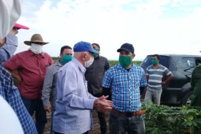 Constatan empeños en la producción de alimentos en Santiago de Cuba