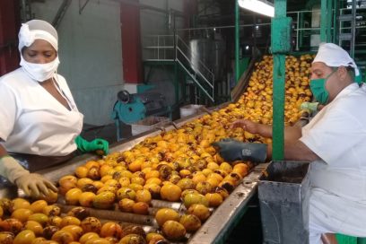Industria conservera de Santiago de Cuba: el sartén por el mango