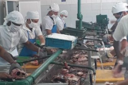 Productos de Indupir sirven la mesa (+ Fotos)