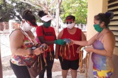 Las familias antivirales (+Fotos)