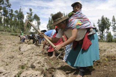 COVID 19, severa amenaza al empleo rural en Latinoamérica y el Caribe