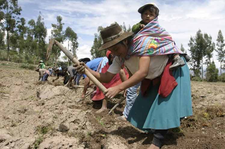 Los impactos entre los trabajadores del campo podrían ser mucho más devastadores por la preexistencia en ese espacio de la pobreza, la exclusión y la informalidad en el empleo. Foto: Tomada de PL