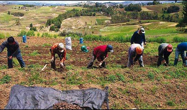 Las zonas rurales están menos equipadas para hacer frente a una emergencia sanitaria, por dificultades para el acceso a servicios básicos como los de salud y saneamiento. Foto: Tomada de peru.com