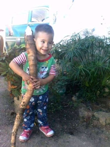 .El nieto Miguel Alexis también quiere ser campesino. Foto: Alina Valenzuela García