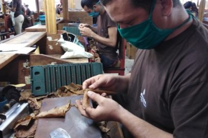 Tabacaleros celebran su día produciendo (+Fotos)