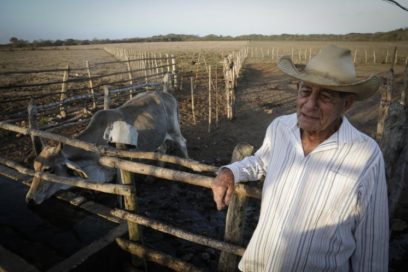 RETRATOS: La decisión de un vaquero