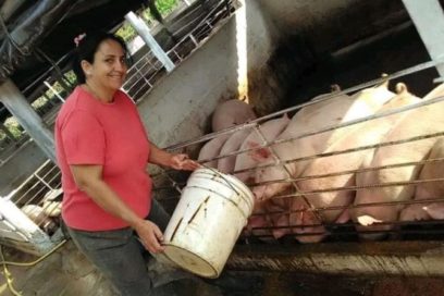 La porcinocultora del lomerío (+ Fotos)