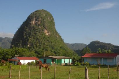 La naturaleza es vida (+Fotorreportaje)