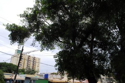 Prevenir en tiempos de huracán (Fotos)