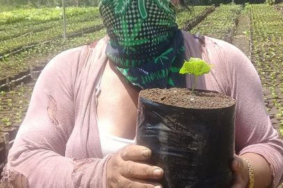 Dulce apuesta por el amargo