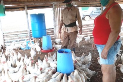 Empresa Agroforestal de Matanzas es la mejor del país (+Fotos)
