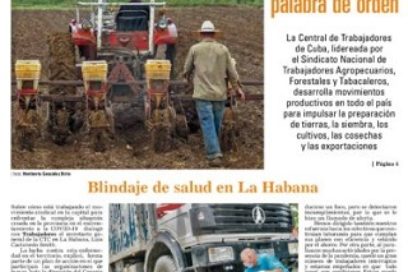 Lunes 8 de junio de 2020