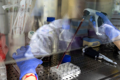 Covid-19: Mirada mundial (17 de junio)