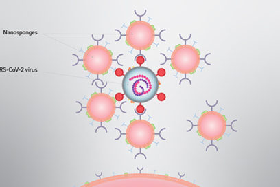 Covid-19: Mirada mundial (22 de junio)