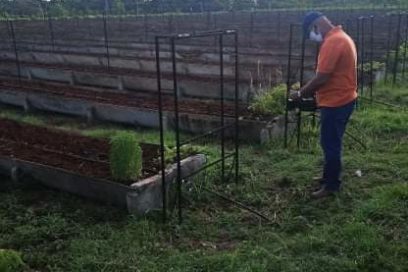 Aporte a la producción de alimentos