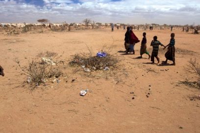 Urge revertir la degradación de la Tierra, afirma ONU