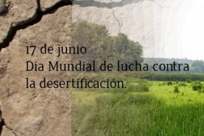 Obtienen resultados en programa contra la desertificación y la sequía