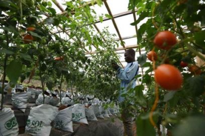 Civilización humana y naturaleza: el gran desafío