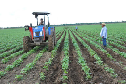 Impulsan desarrollo agrícola con la recuperación de tierras improductivas