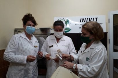 Inivit: creatividad ante falta de insumos