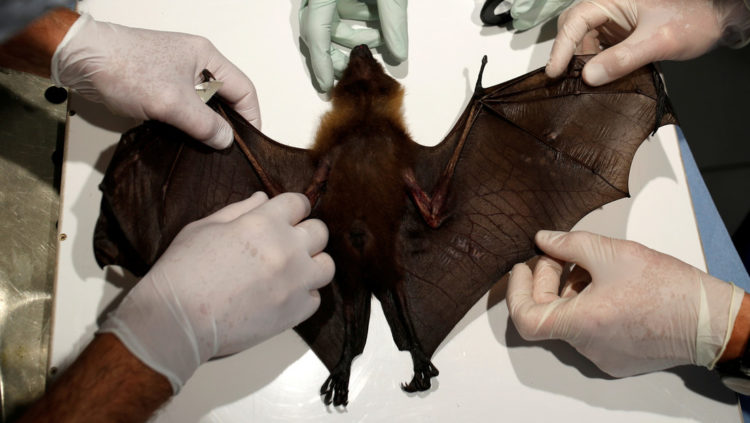 Imagen ilustrativaStephane Mahe / Reuters