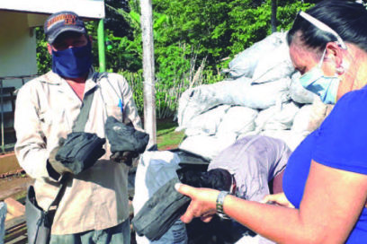 El oro verde de la economía