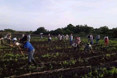 La Unión de Juristas en Camagüey destacada a nivel nacional