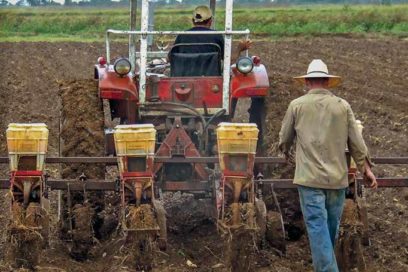 Alimentos, palabra de orden