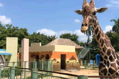 Zoológico por más en Ciego de Ávila (+Fotos y Videos)
