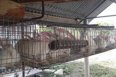 Mayor producción en la Cooperativa de Créditos y Servicios