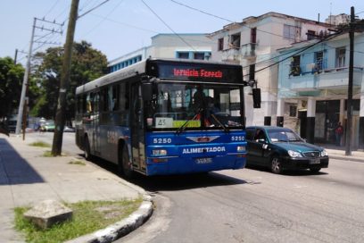 ¡Larga vida a la nueva normalidad! (+Fotos y Videos)