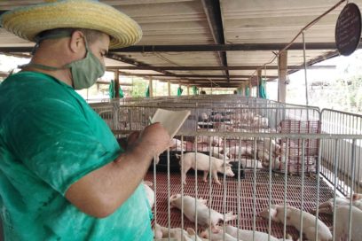 Baraguá en 26: ¡La Gloriosa! (+Fotos y Video)