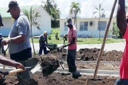 Construir y producir alimentos (+Fotos)