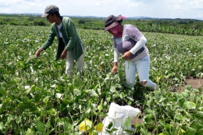 Convocan en Santiago de Cuba a jornada productiva especial por el 26 de Julio
