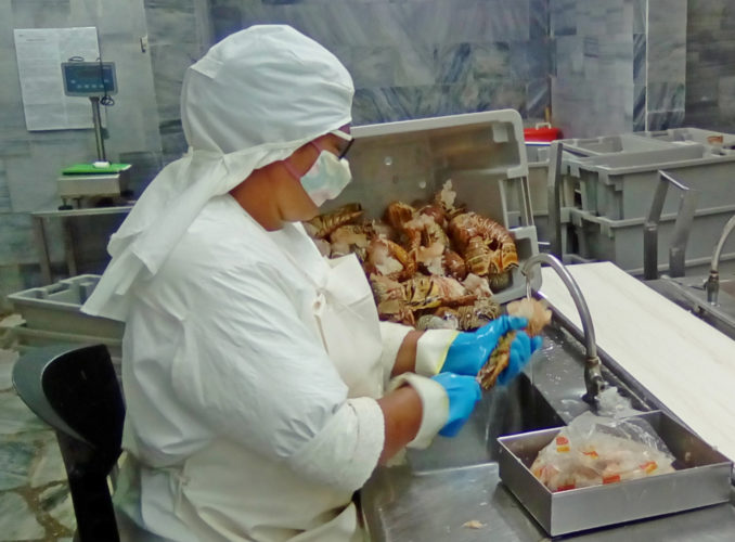 Unidad Empresarial de Base (UEB) Induisla