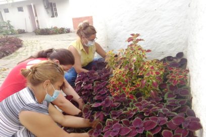 Pasatiempo productivo de cuatro cubanos en Mérida