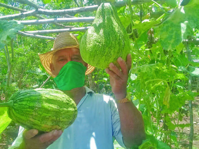 En un contexto económico marcado por el recrudecimiento del bloqueo, la producción de alimentos es prioridad para los santiagueros. Foto: Betty Beatón Ruiz