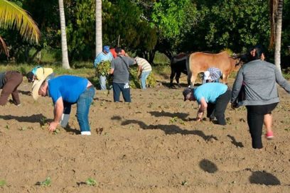 Convocan a realizar jornadas productivas en la recuperación del territorio