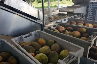 De La Varona hasta La Luisa (+ Videos)