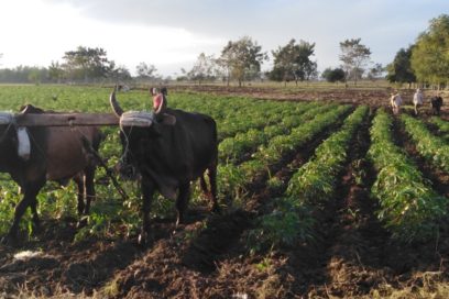 Segunda fase en Camagüey, pero sin confiarnos