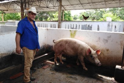 Más cerca del plato