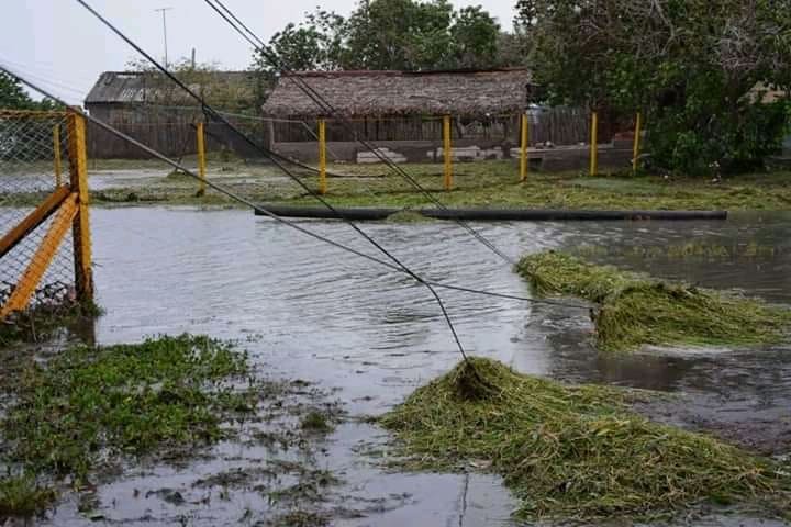 Algunos cables y árboles caídos dejó el paso de la tormenta tropical Laura en Santa Cruz del Sur