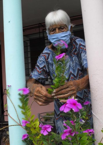 María Alfaro todavía atiende sus plantas. Foto: Agustín Borrego Torres