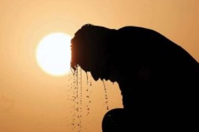 Estudios advierten sobre nocivos efectos de las olas de calor