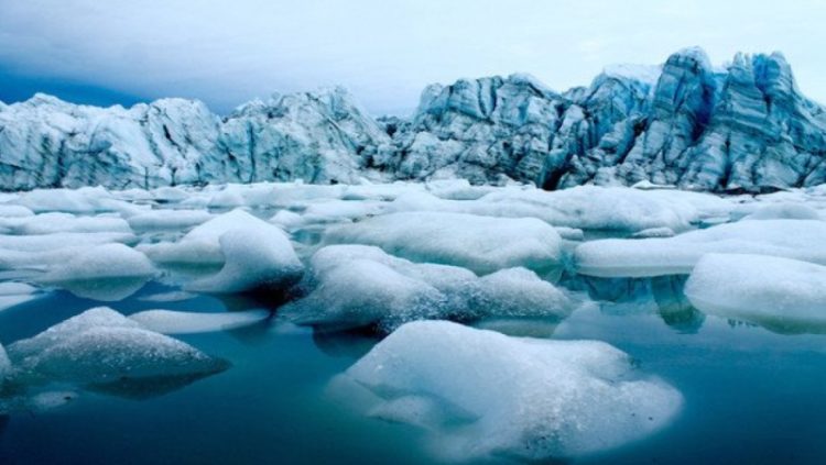 La catastrófica pérdida de hielo que sufre la Tierra conlleva nefastas consecuencias para los humanos y las restantes especies biológicas que habitan el planeta. Tomada de: Catástrofes Mundiales