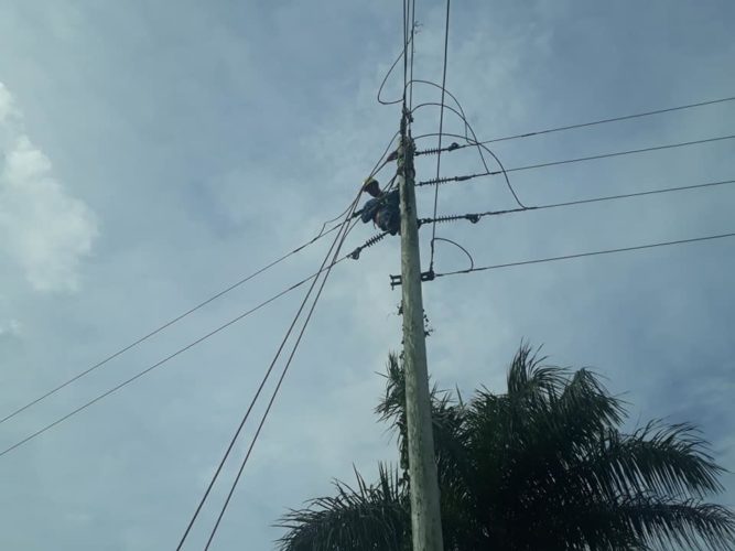 Recuperación tras paso de TT Laura, Isla de la Juventud