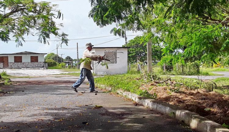 Recuperación tras paso de TT Laura, Isla de la Juventud