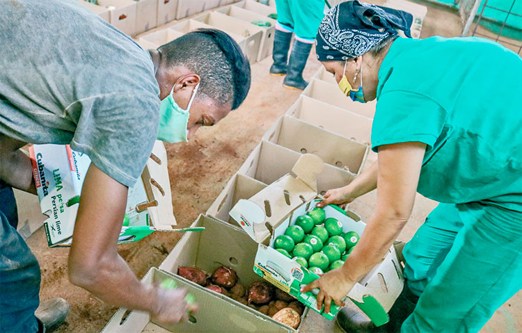 Esta entidad hace llegar alimentos a diversos centros de salud. Foto: Heriberto González Brito