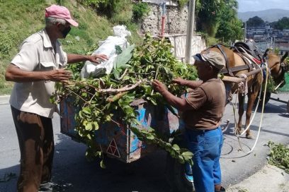Trabajadores de servicios comunales refuerzan higienización en Santiago de Cuba